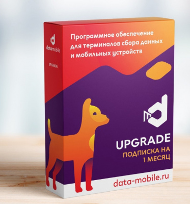 DataMobile Upgrade – подписка на 1 месяц купить в Москве  Scanport - Google Chrome